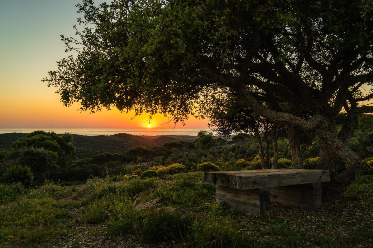 فندق Monte Velho Retreat Centre ألخيزور المظهر الخارجي الصورة